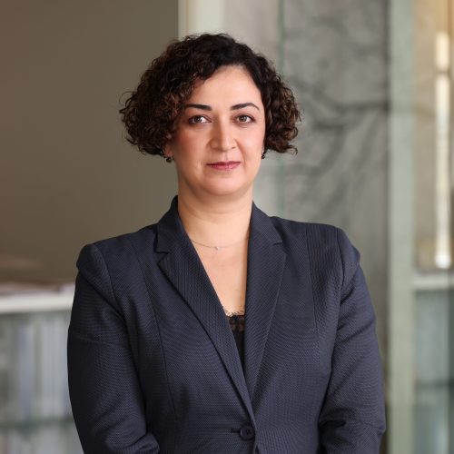 სალომე მეუნარგია New Compressed სალომე მეუნარგია New Compressed